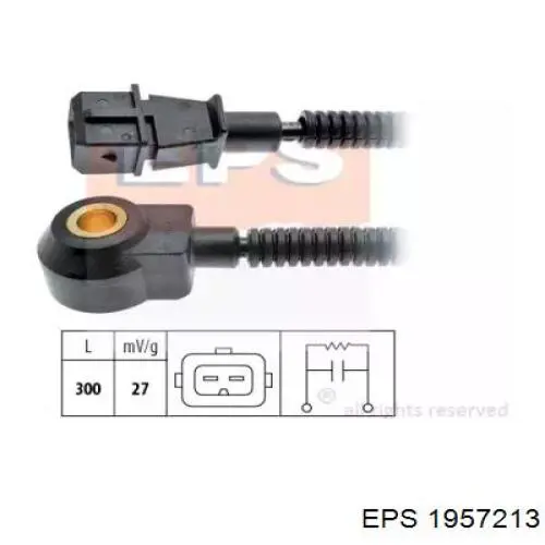 Compre 1957213 EPS Sensor de detonação
