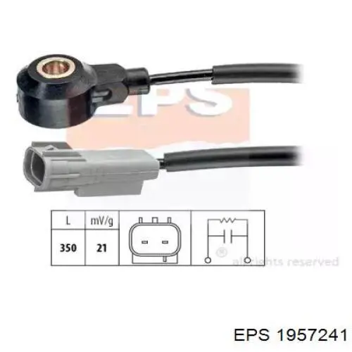 Compre ESSSU001 NTY Sensor de detonação
