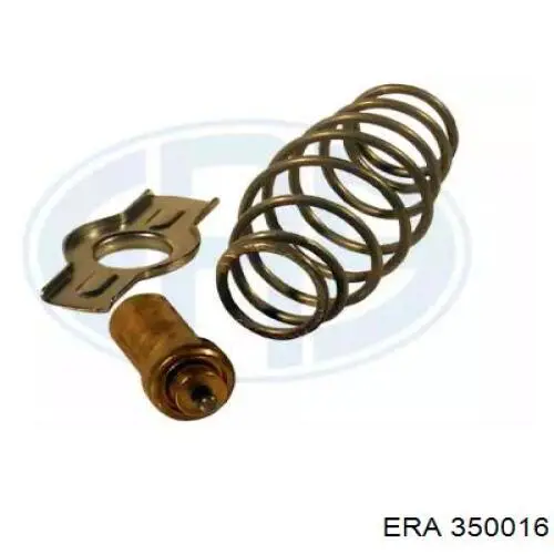 Compre 504071087 Iveco Termostato