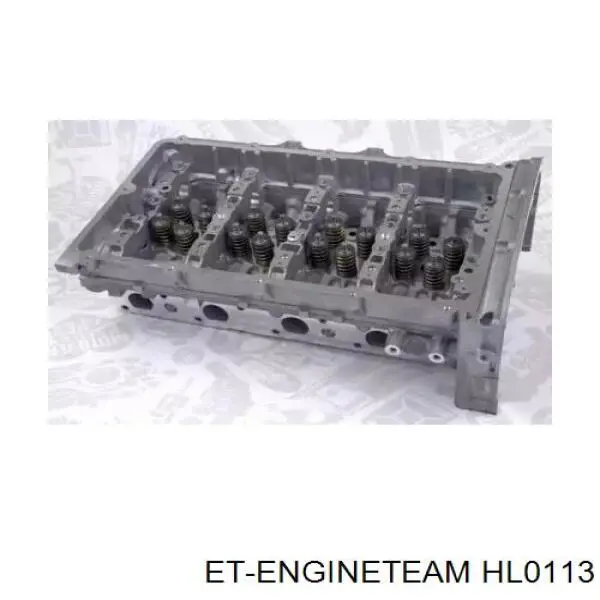 Compre 1731759 Ford Cabeça de motor (CBC)
