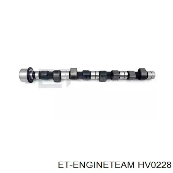 Compre FT45023 Fast Árvore distribuidora de motor
