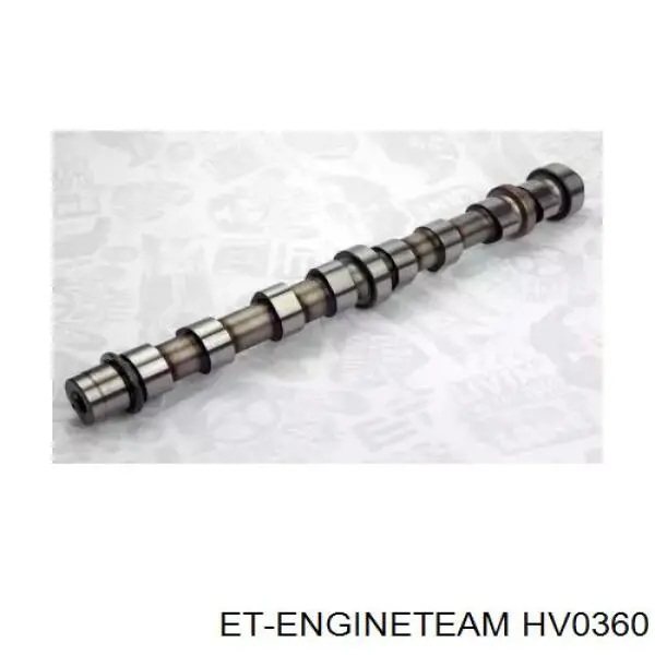 Compre 1002059N Vitobello Ricambi Árvore distribuidora de motor