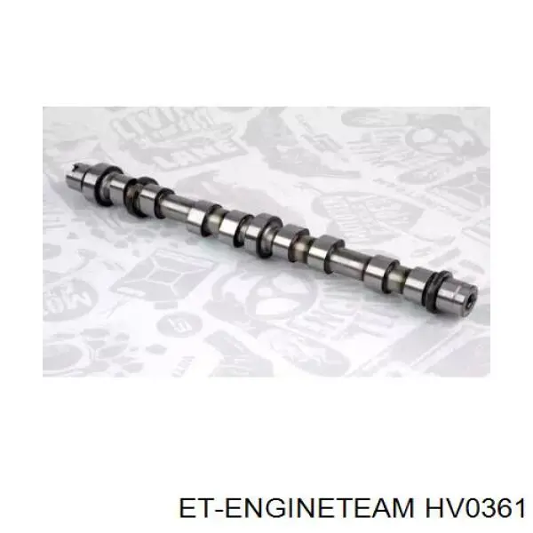 CM052265 Freccia Árvore distribuidora de motor de escape