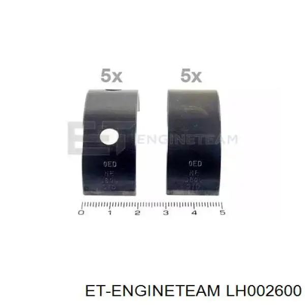 Folhas inseridas principais de cambota, kit, padrão (STD) 403819004 SM