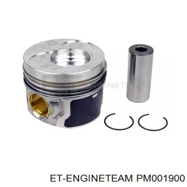 Compre 038107065EM001 VAG Pistão do kit para 1 cilindro, STD
