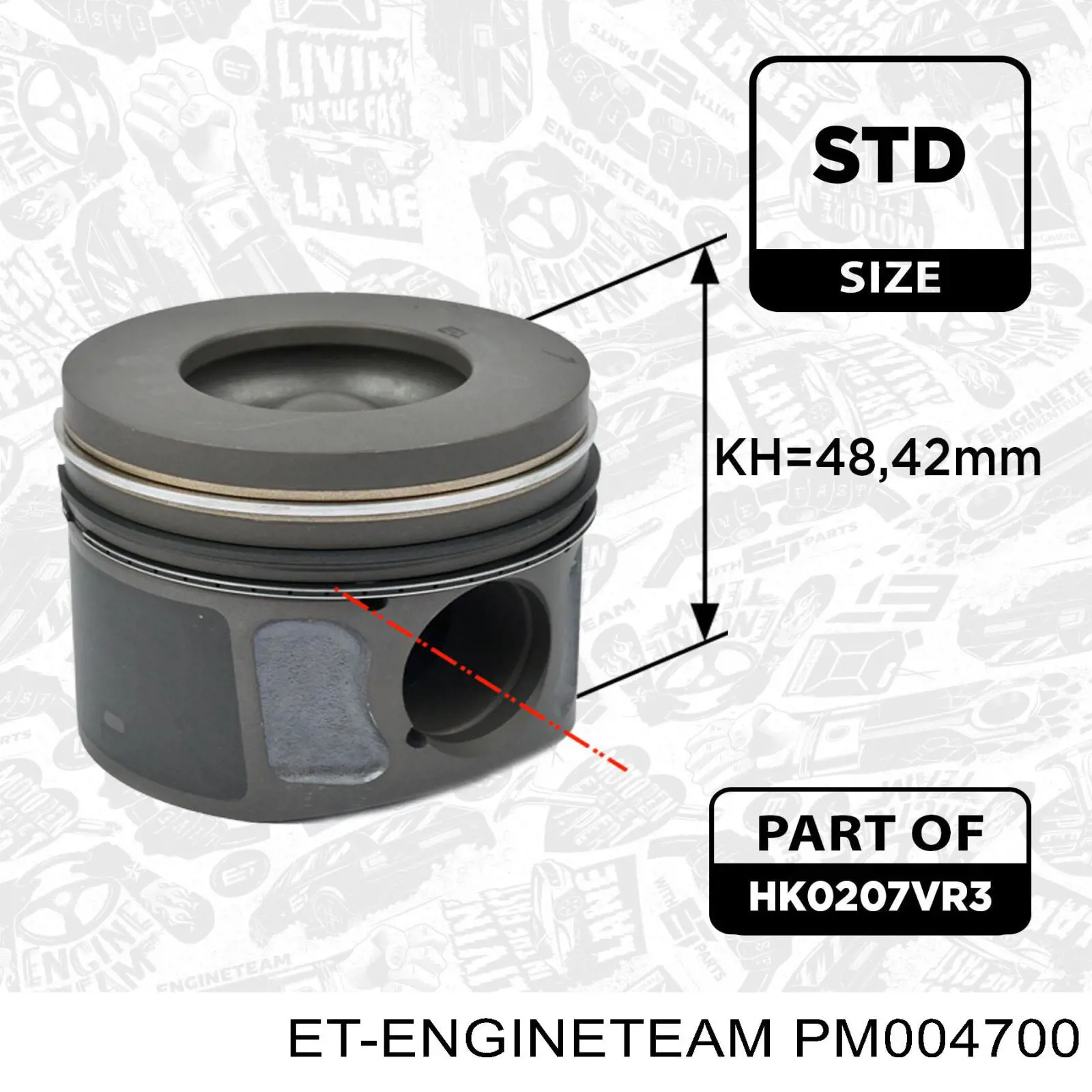 BK2Q6105 Ford Pistão do kit para 1 cilindro, STD