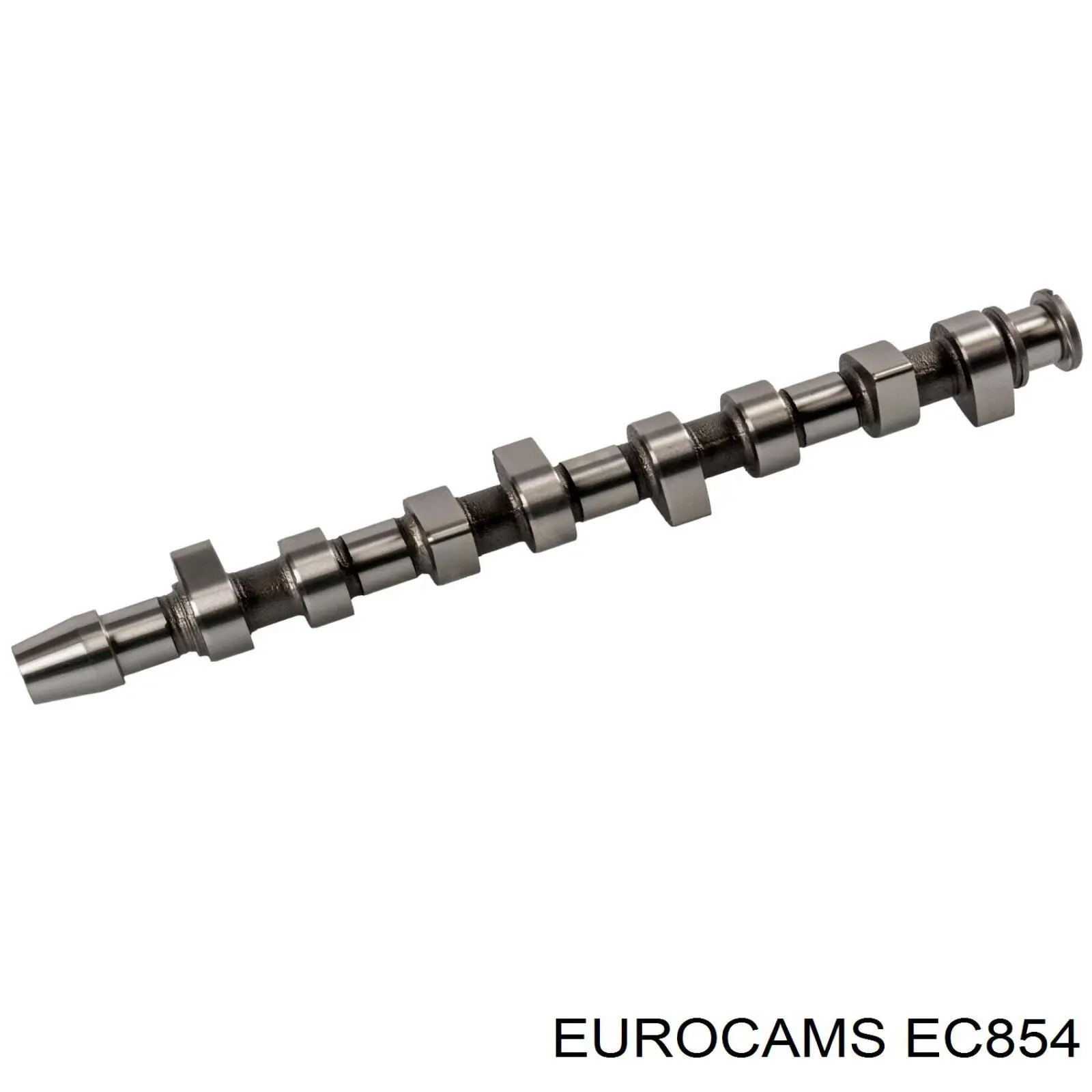 Compre 661871 AMC Árvore distribuidora de motor
