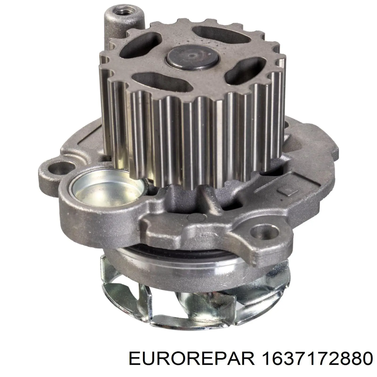 Compre 1637172880 Eurorepar Bomba de água (bomba) de esfriamento