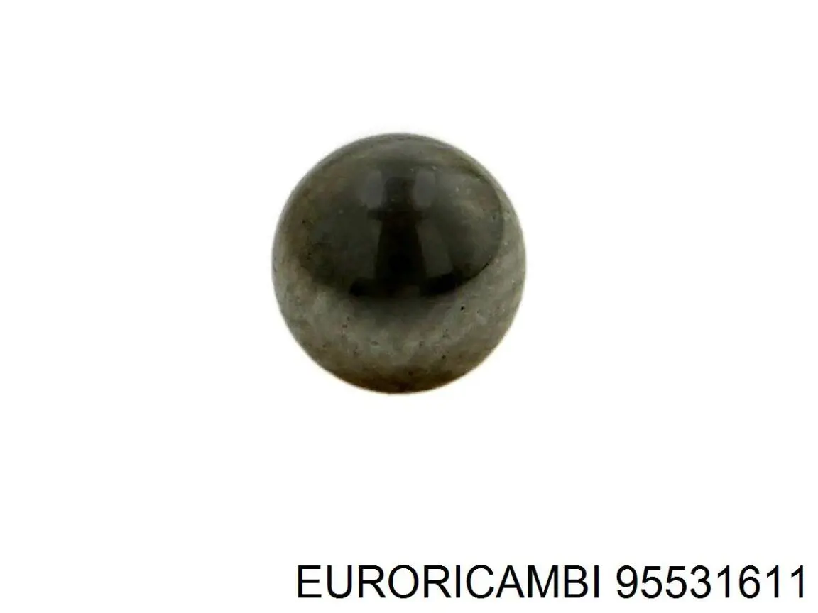 Compre 95531611 Euroricambi 