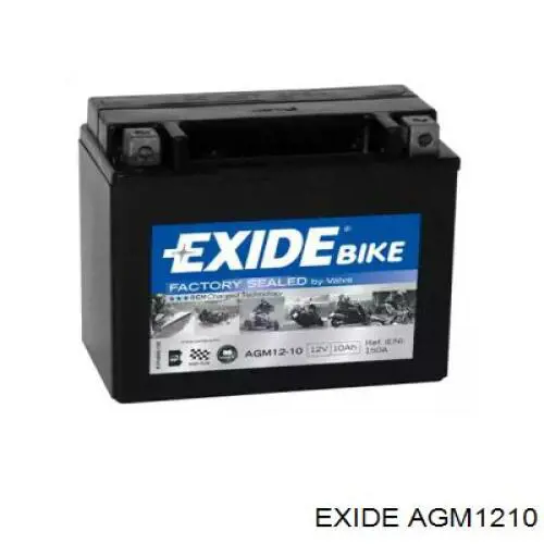 Compre AGM1210 Exide Bateria recarregável (PILHA)