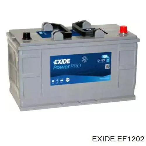 Compre TF1202 Tudor Bateria recarregável (PILHA)