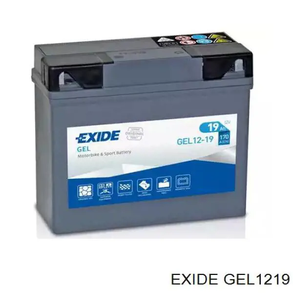 Compre GEL1219 Exide Bateria recarregável (PILHA)