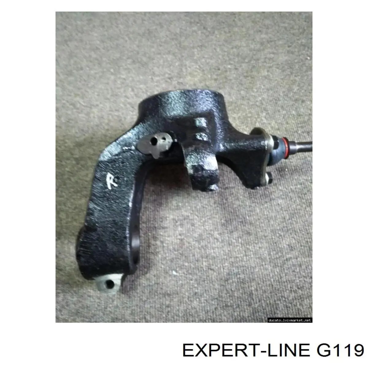 Estabilizador traseiro G119 Expert Line