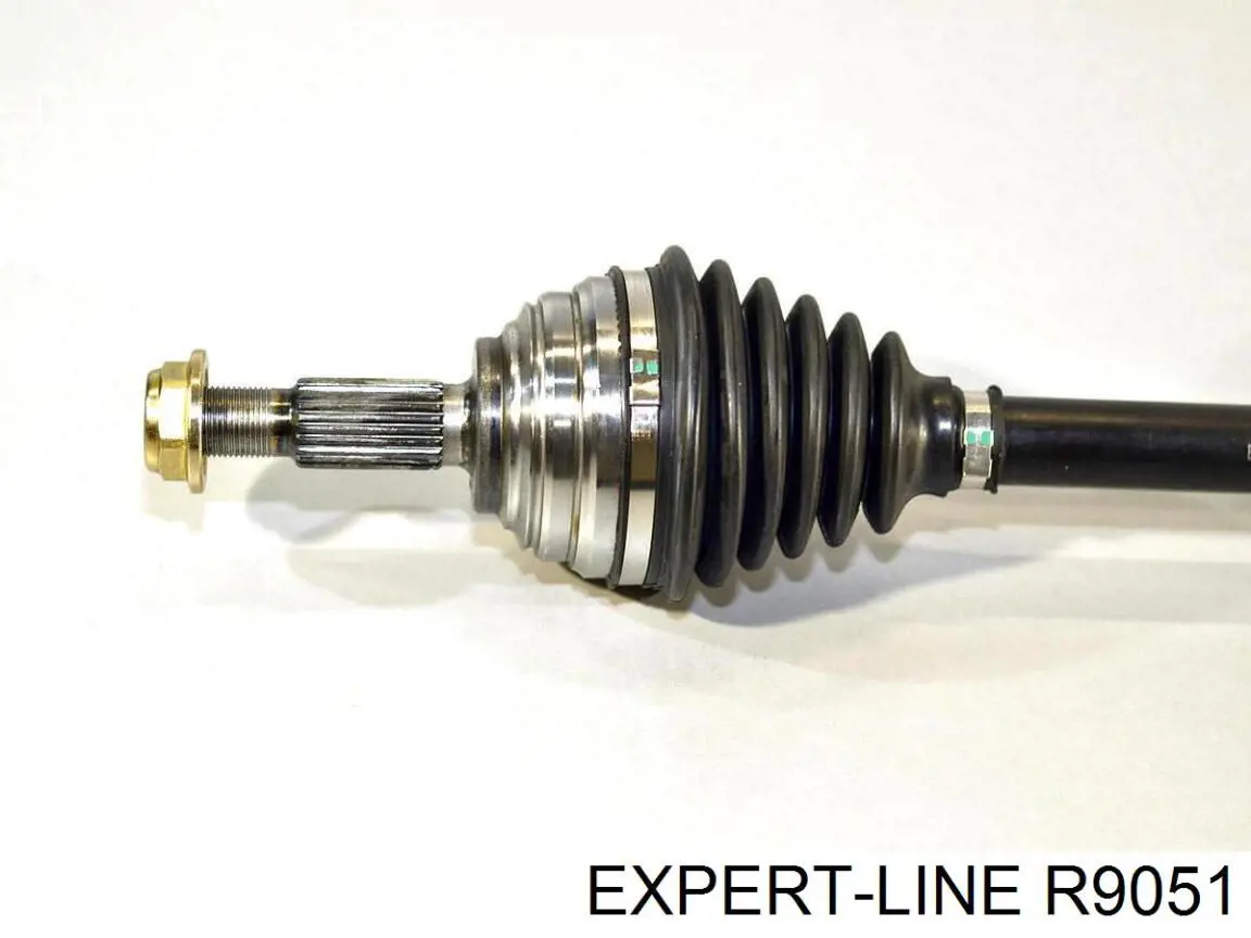 Compre R9051 Expert Line Semieixo (acionador) dianteiro esquerdo