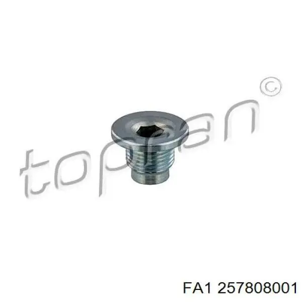 257808001 FA1 Tampão de panela de motor