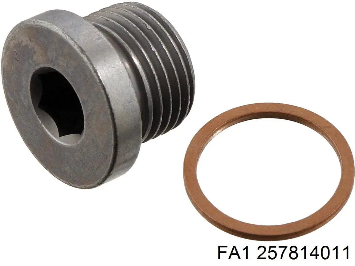 Compre 257814011 FA1 Tampão de panela de motor