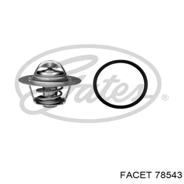 Compre 78543 Facet Termostato