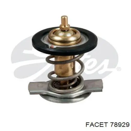 78929 Facet Termostato