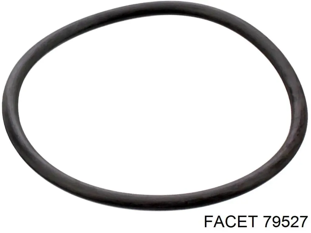 Compre 79527 Facet Vedante de termostato