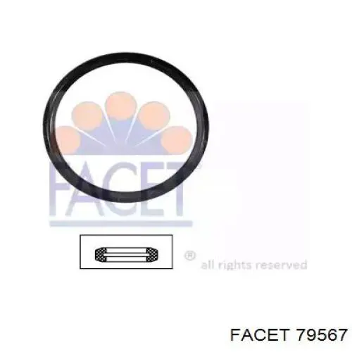 79567 Facet Vedante de termostato