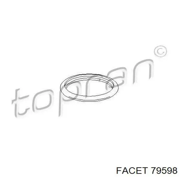 Compre 79598 Facet Vedante de termostato