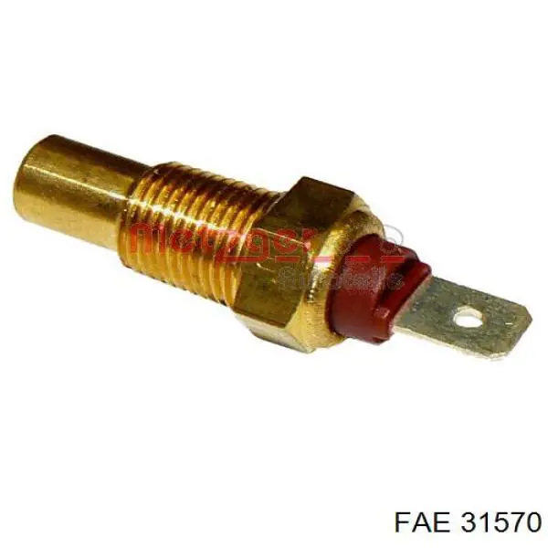 Compre 31570 FAE Sensor de temperatura do fluido de esfriamento