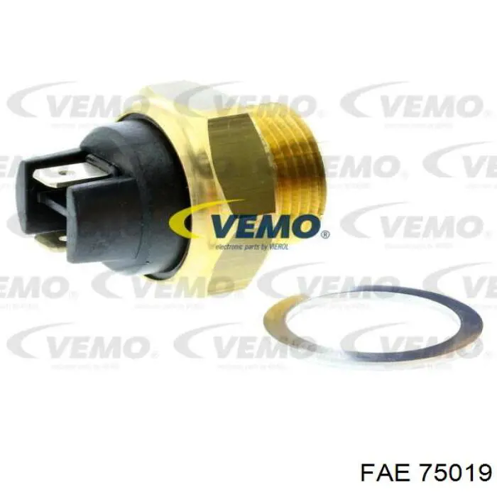 Compre 75019 FAE 