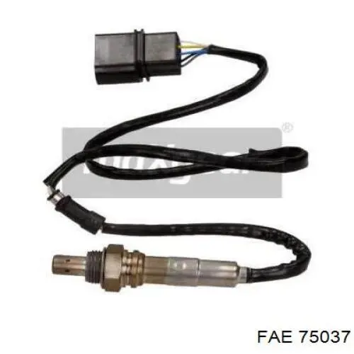 Sonda lambda, sensor de oxigênio até o catalisador FAE 75037 preço, a partir de 197,94 USD