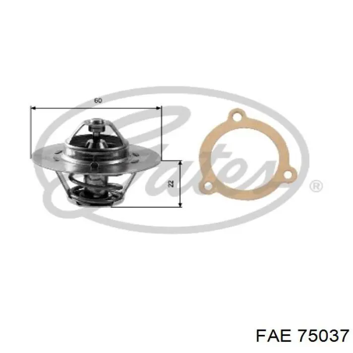 Compre 75037 FAE Sonda lambda, sensor de oxigênio até o catalisador