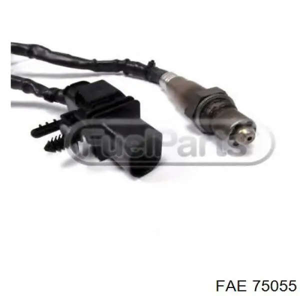 Compre 75055 FAE Sonda lambda, sensor direito de oxigênio até o catalisador