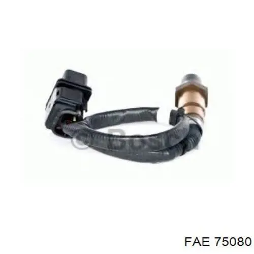 75080 FAE Sonda lambda, sensor de oxigênio
