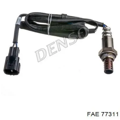 Compre 77311 FAE 