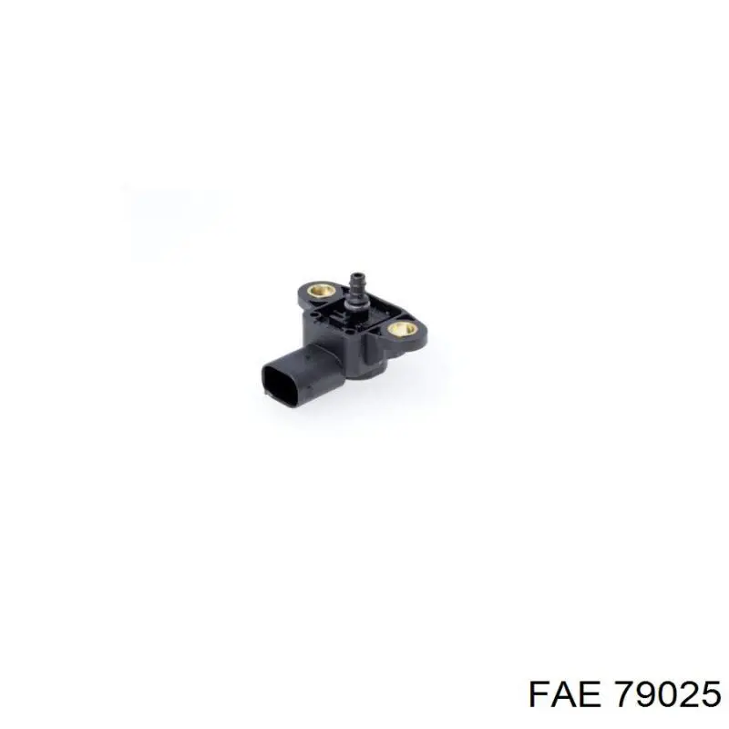 Compre 79025 FAE 