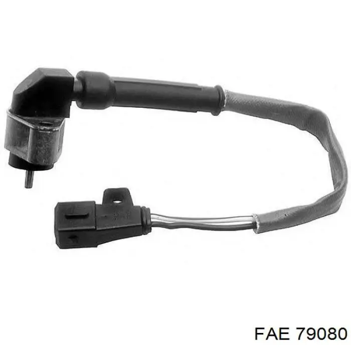 Compre 79080 FAE 