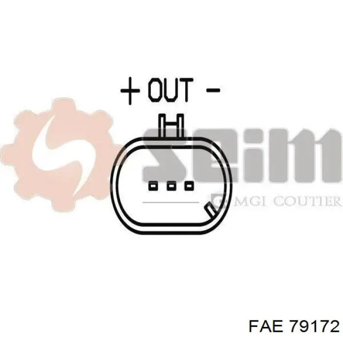 Compre 79172 FAE Sensor de posição da árvore distribuidora