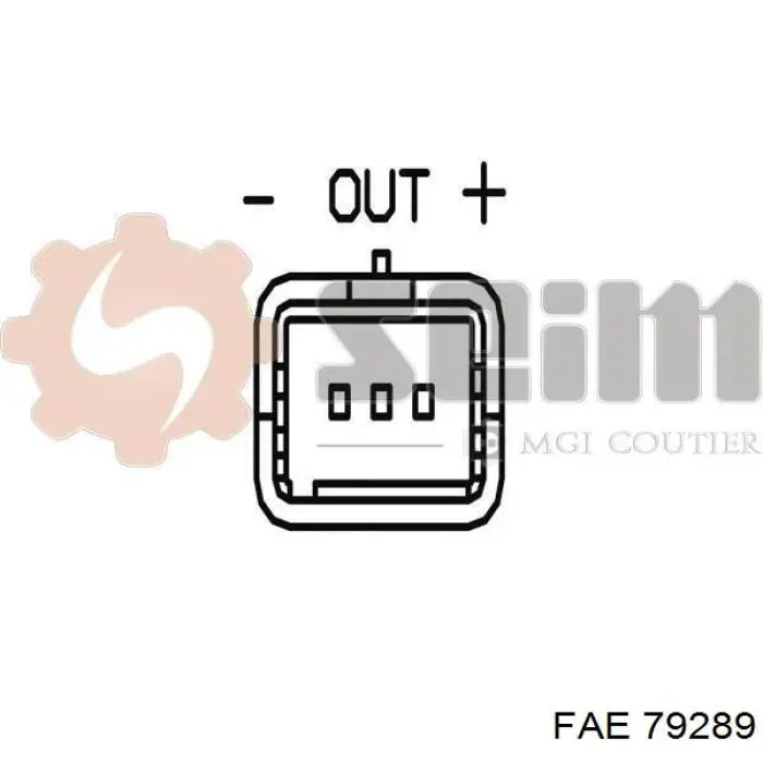  FAE 79289