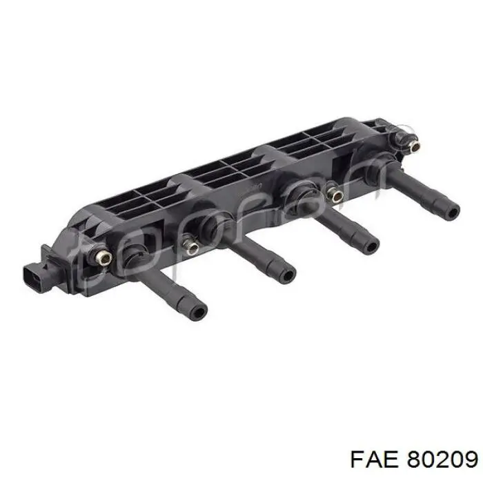 Compre 80209 FAE Bobina de ignição