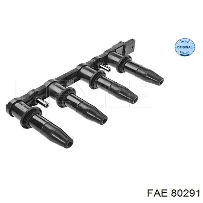 Compre 80291 FAE Bobina de ignição