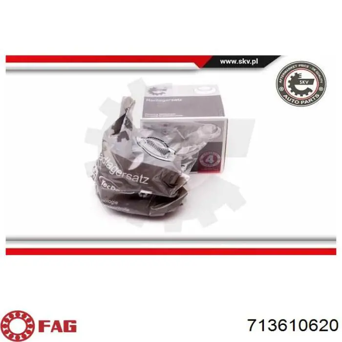 Compre 713610620 FAG Cubo traseiro