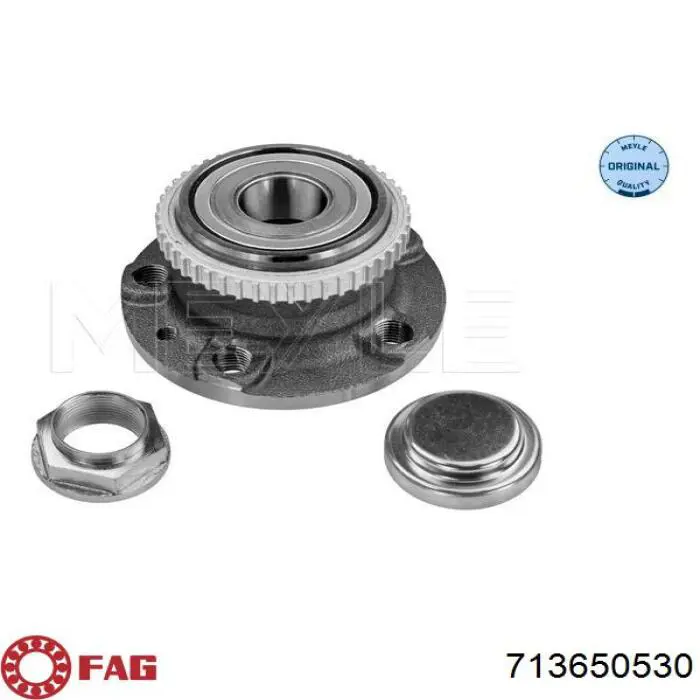 TGB40189S04 SNR Cubo traseiro