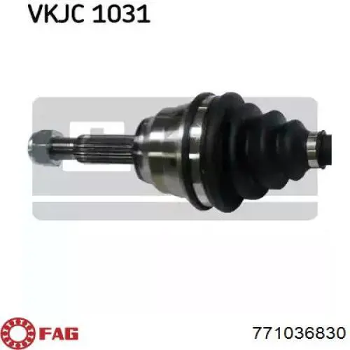 771036830 FAG Junta homocinética externa dianteira