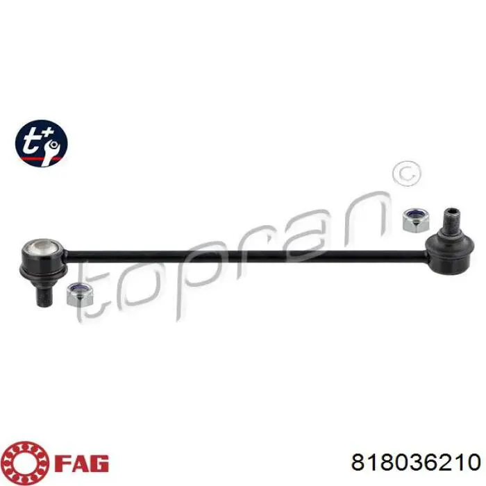 Montante de estabilizador dianteiro FAG 818036210 preço, a partir de 15,88 USD