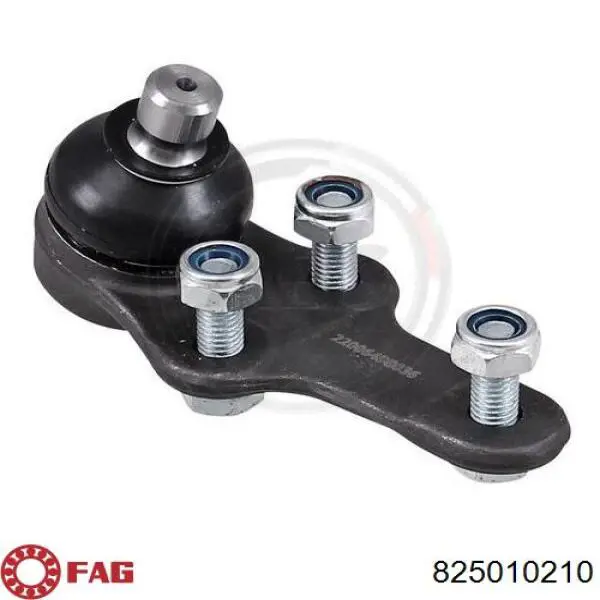 Compre 825010210 FAG Suporte de esfera inferior