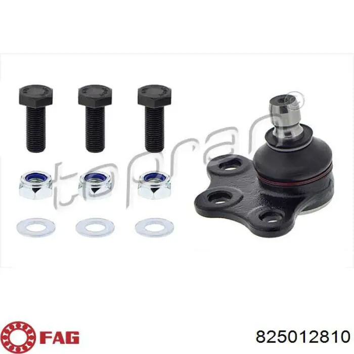 Compre 825012810 FAG Suporte de esfera inferior