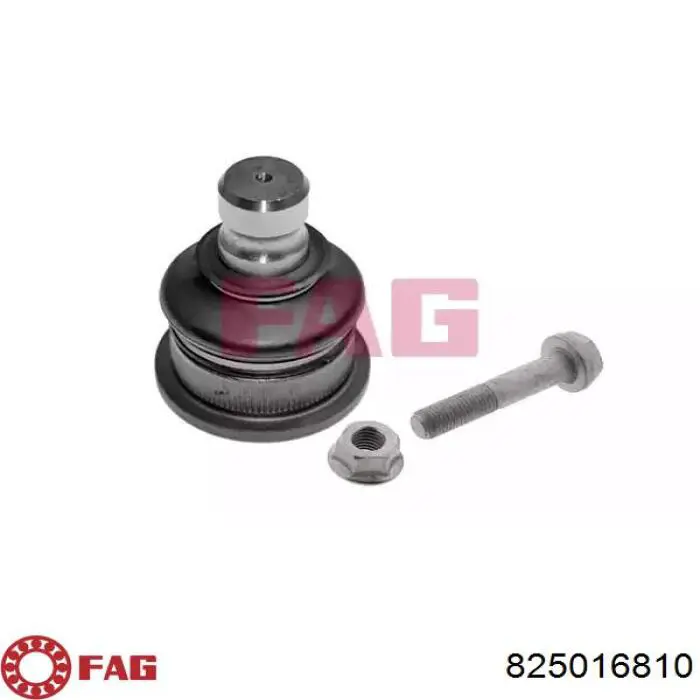 Suporte de esfera inferior FAG 825016810 preço, a partir de 20,75 USD