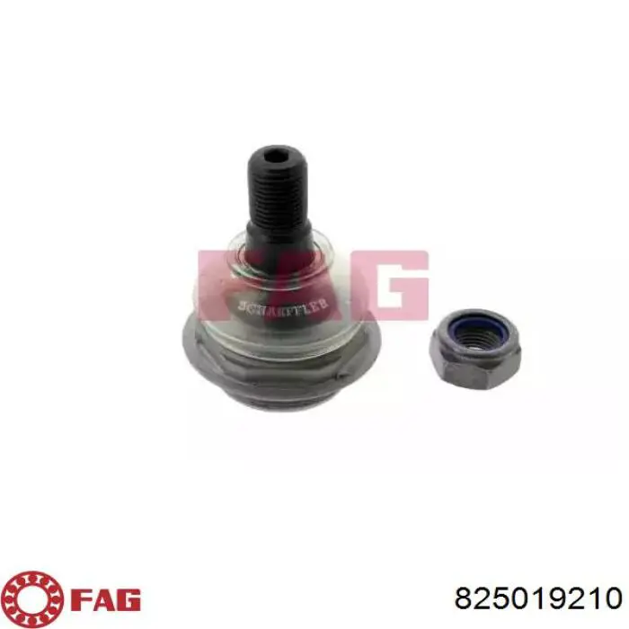 825019210 FAG Suporte de esfera inferior