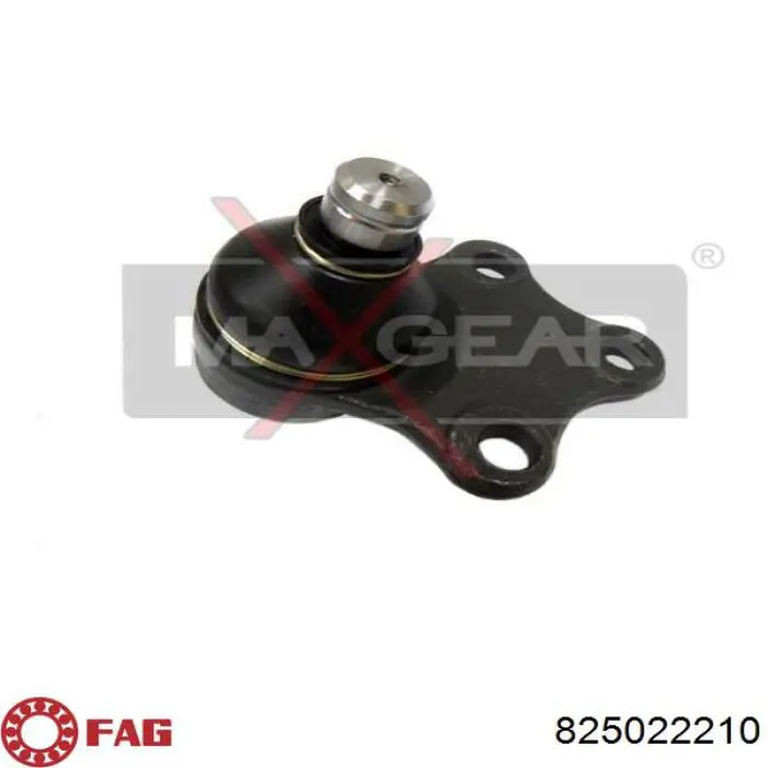 Compre 825022210 FAG Suporte de esfera inferior