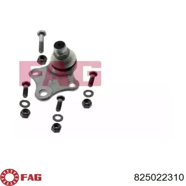 825022310 FAG Suporte de esfera inferior