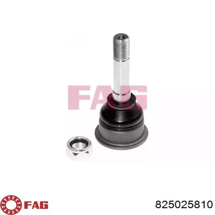 Compre 825025810 FAG Suporte de esfera inferior