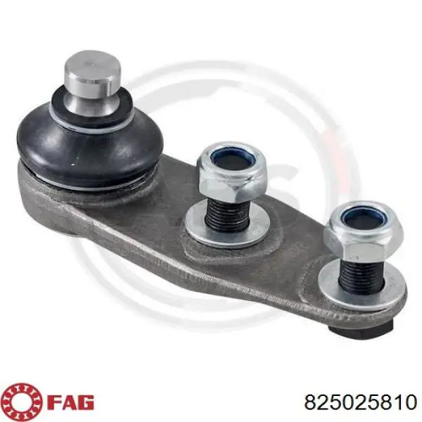 Suporte de esfera inferior FAG 825025810 preço, a partir de 14,94 USD